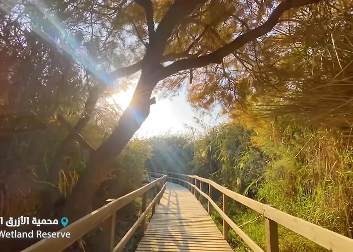 Azraq Lodge