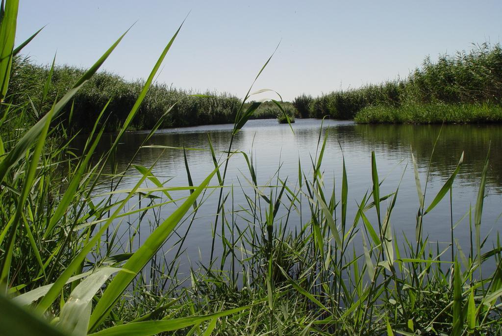Azraq Lodge *