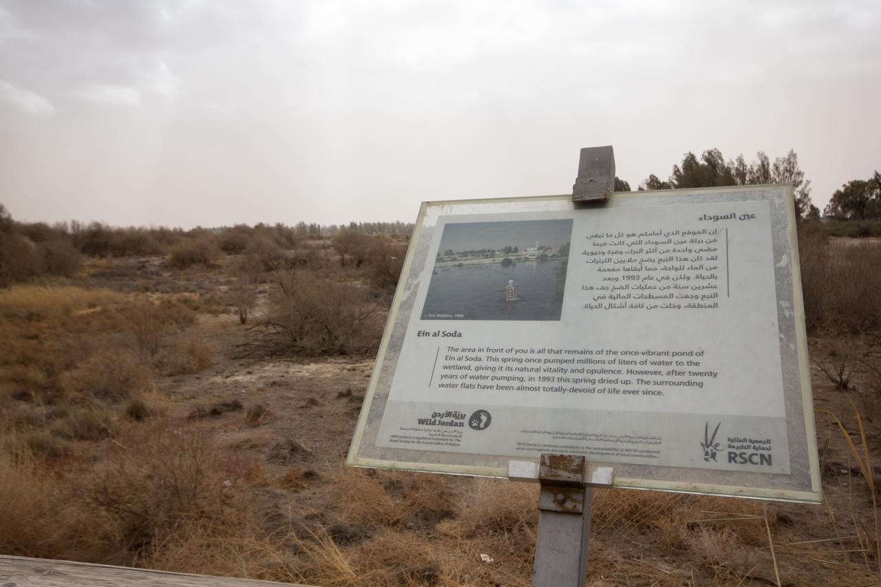 Lodge Azraq